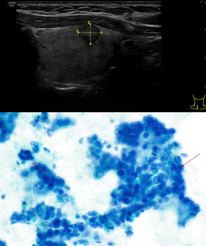 Medica Punktions Amulbatorium